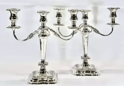 Gümüş Kadeh Alımı